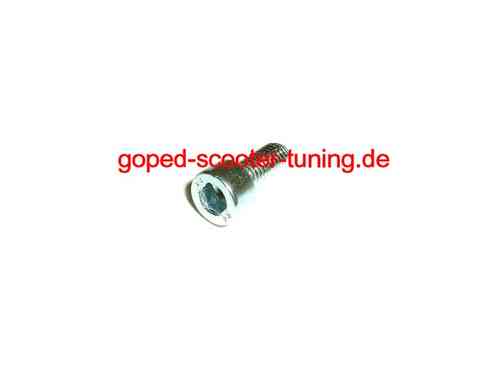 Screw M6 for Exhaust and Coolant Reservoir Blata 914.118.01 / 914.007.01